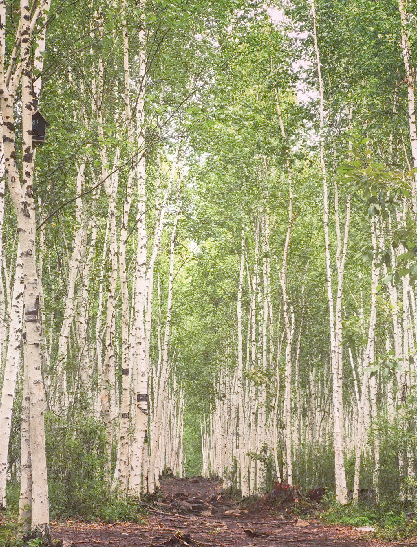 Shanghai & Beyond: Metropolis to Mountains 13-Day China Tour
