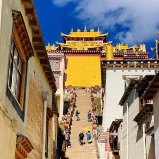 Silk Road & Beyond: Desert & Grassland 13-Day China Tour II