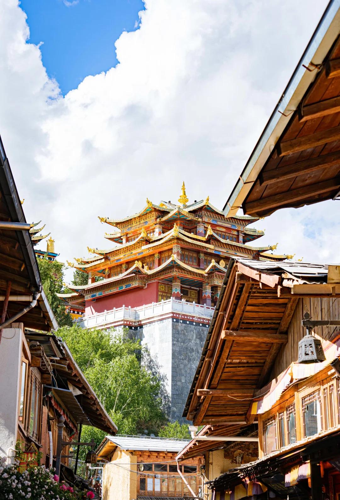 Qinghai & Gansu Loop & Beyond: Western Wilds 13-Day China Tour II