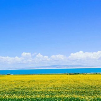 Qinghai & Gansu Loop & Beyond: Silk Road Odyssey 3-Day China Tour III