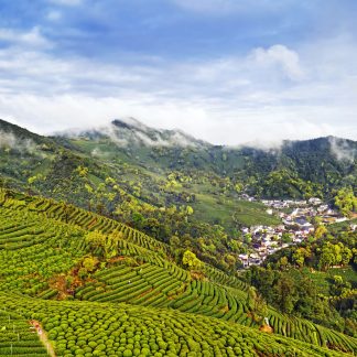 Yangtze Delta Depth & Beyond: Garden & Water Towns 3-Day China Tour IV