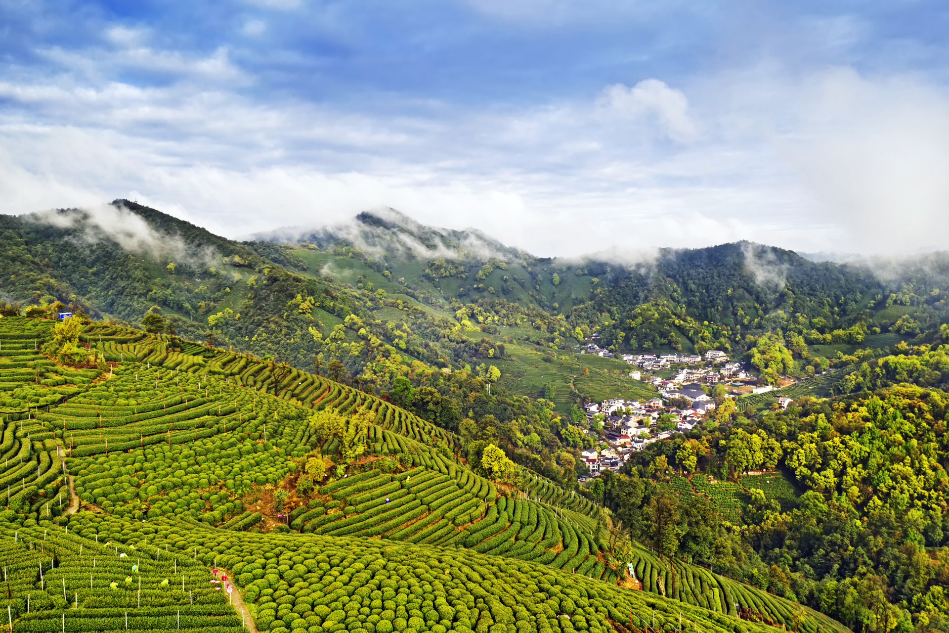 Yangtze Delta Depth & Beyond: Garden & Water Towns 3-Day China Tour IV