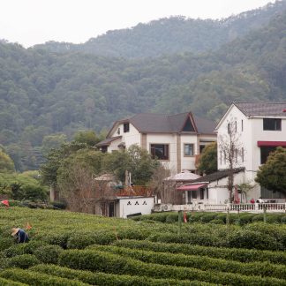 Yangtze Delta Depth & Beyond: Garden & Water Towns 3-Day China Tour III