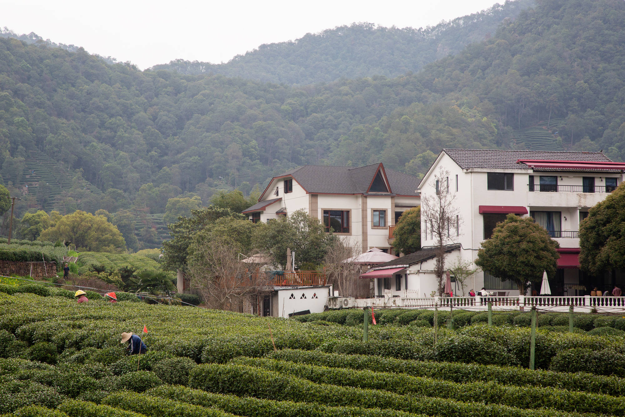 Yangtze Delta Depth & Beyond: Garden & Water Towns 3-Day China Tour III