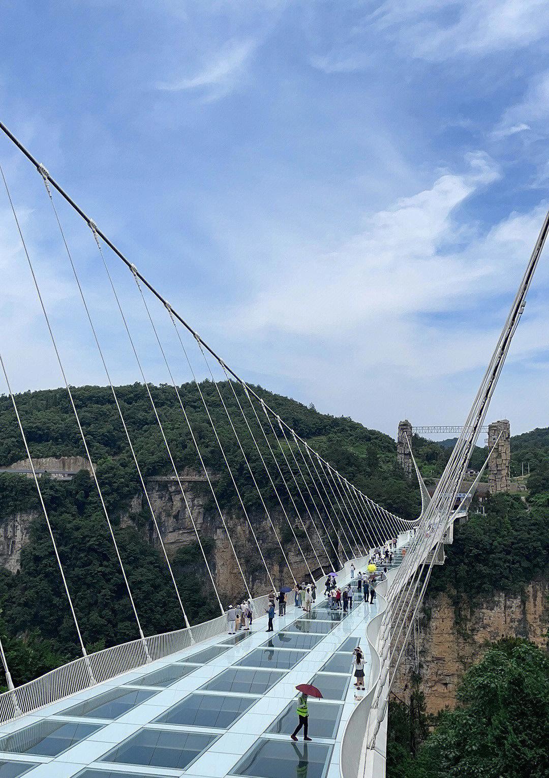 Zhangjiajie & Beyond: Metropolis to Mountains 3-Day China Tour