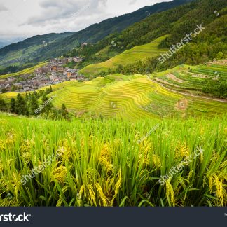 Guilin & Beyond: Minority Villages Trail 3-Day China Tour