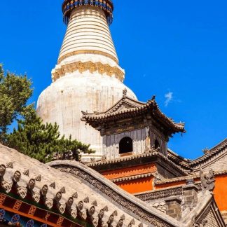 Luoyang & Henan & Beyond: Imperial Heritage 7-Day China Tour III