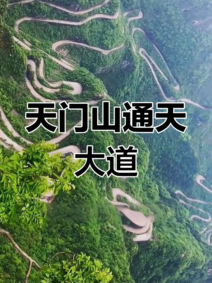 Zhangjiajie & Beyond: Metropolis to Mountains 7-Day China Tour