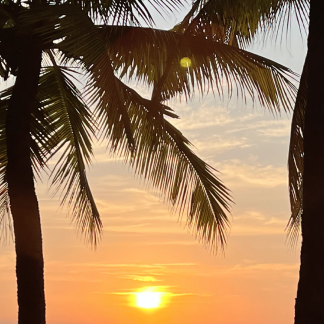 Hainan & Beyond: Island & Rainforest 7-Day China Tour