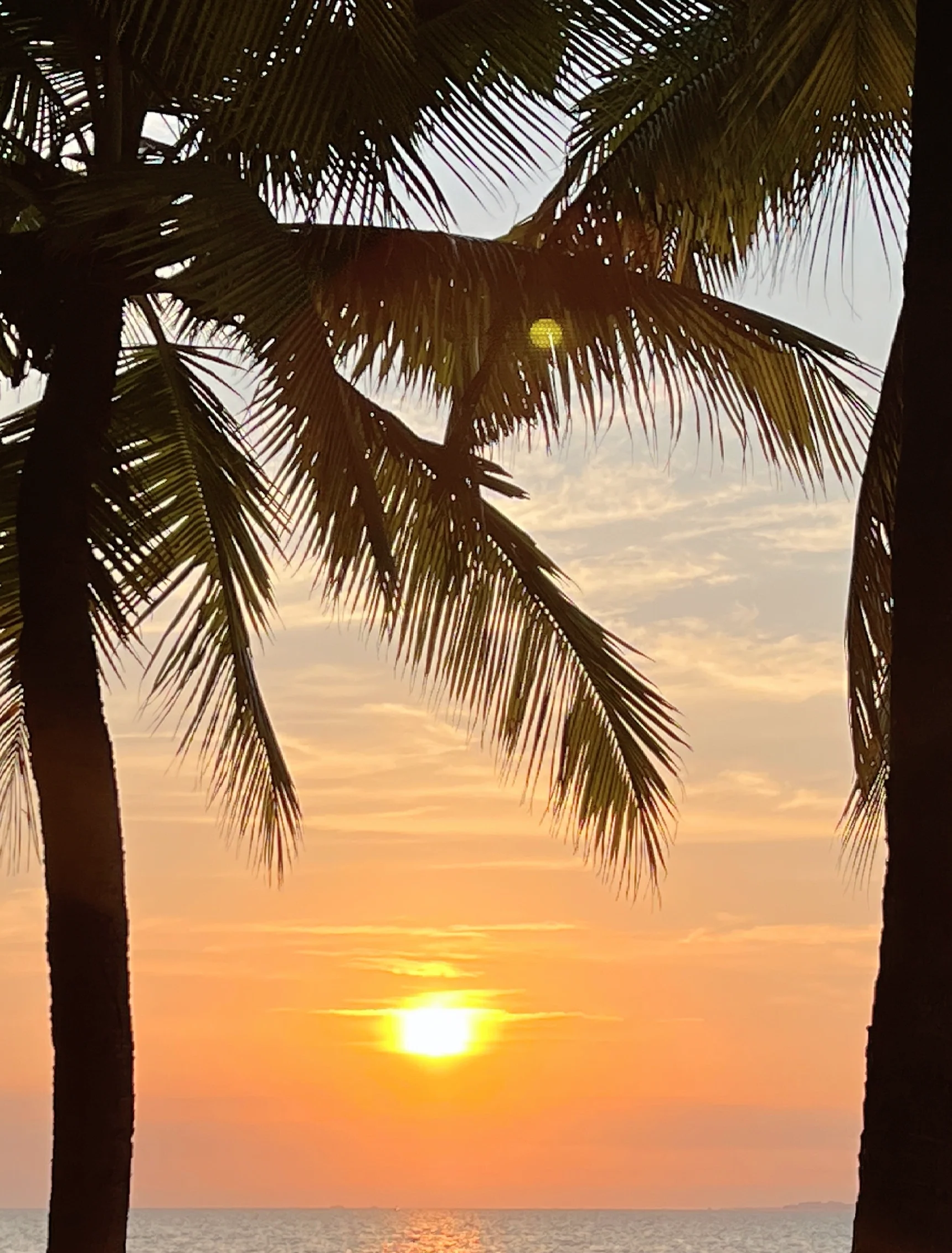 Hainan & Beyond: Island & Rainforest 7-Day China Tour