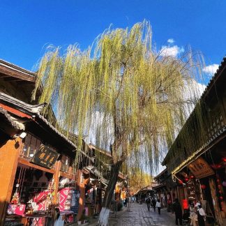 Yunnan & Beyond: Tea Horse Road 7-Day China Tour