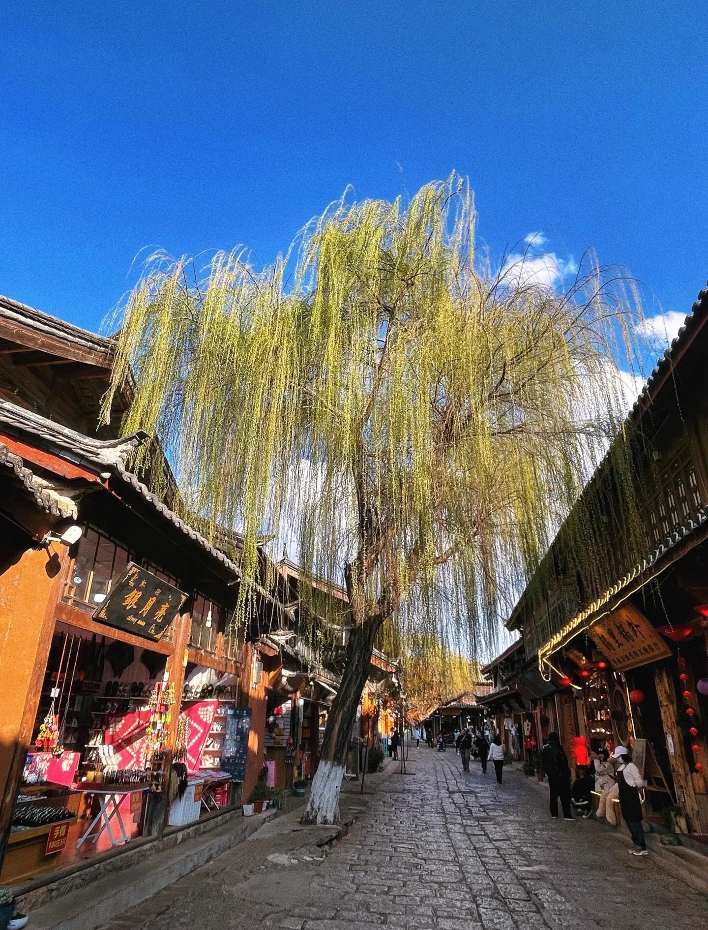 Yunnan & Beyond: Tea Horse Road 7-Day China Tour