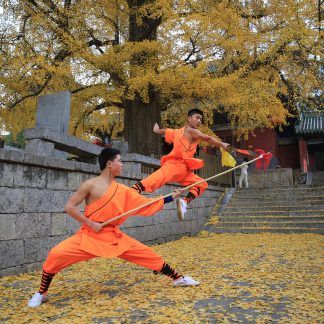 Luoyang & Henan & Beyond: Imperial Heritage 7-Day China Tour II