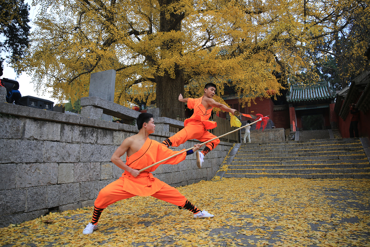 Luoyang & Henan & Beyond: Imperial Heritage 7-Day China Tour II