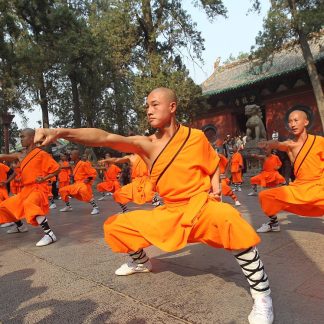 Luoyang & Henan & Beyond: Imperial Heritage 7-Day China Tour