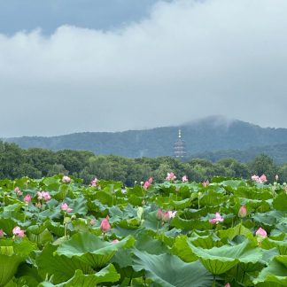 Shanghai & Beyond: Metropolis to Mountains 9-Day China Tour