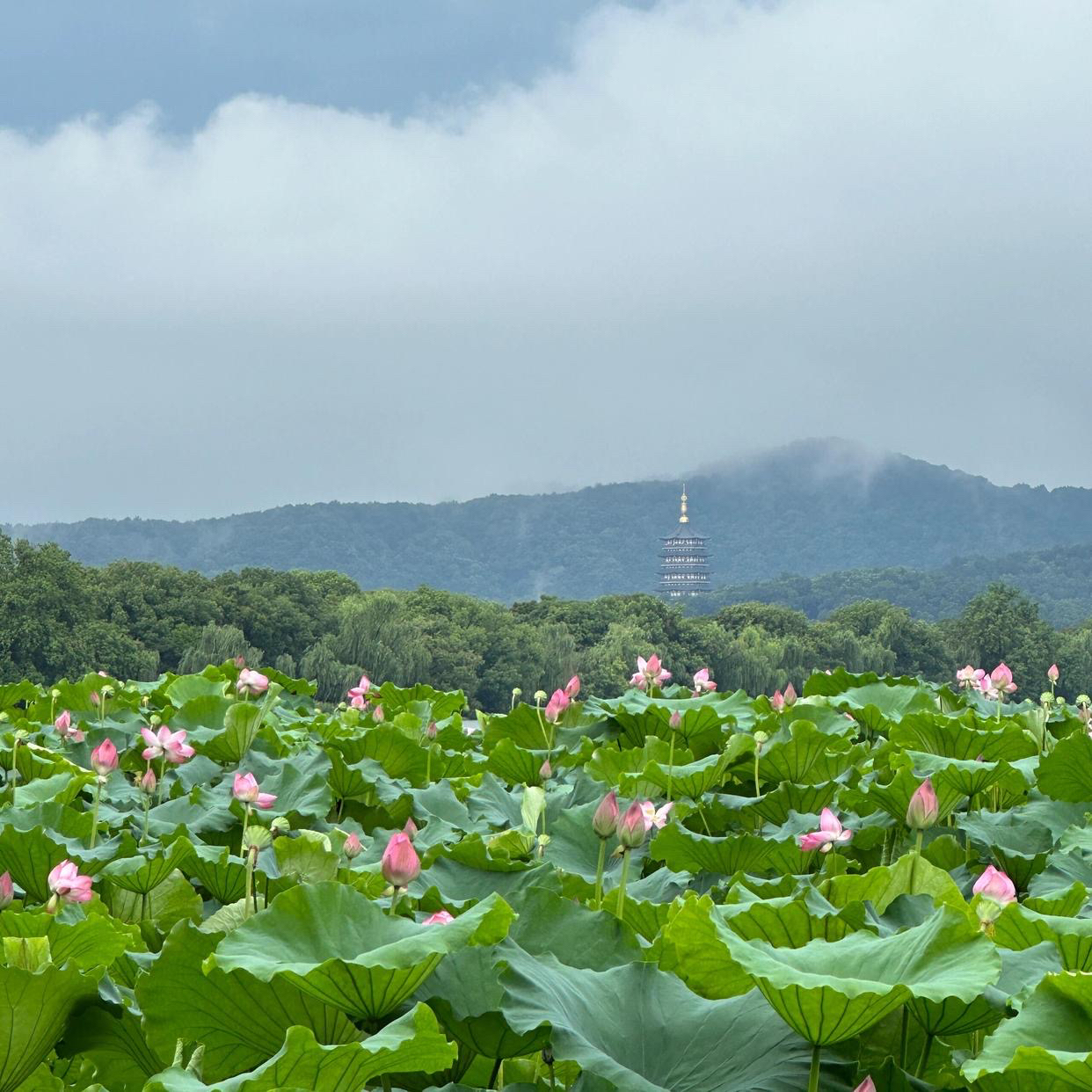 Shanghai & Beyond: Metropolis to Mountains 9-Day China Tour