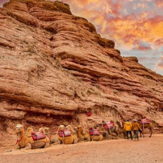 Xinjiang North & Beyond: Western Wilds 9-Day China Tour
