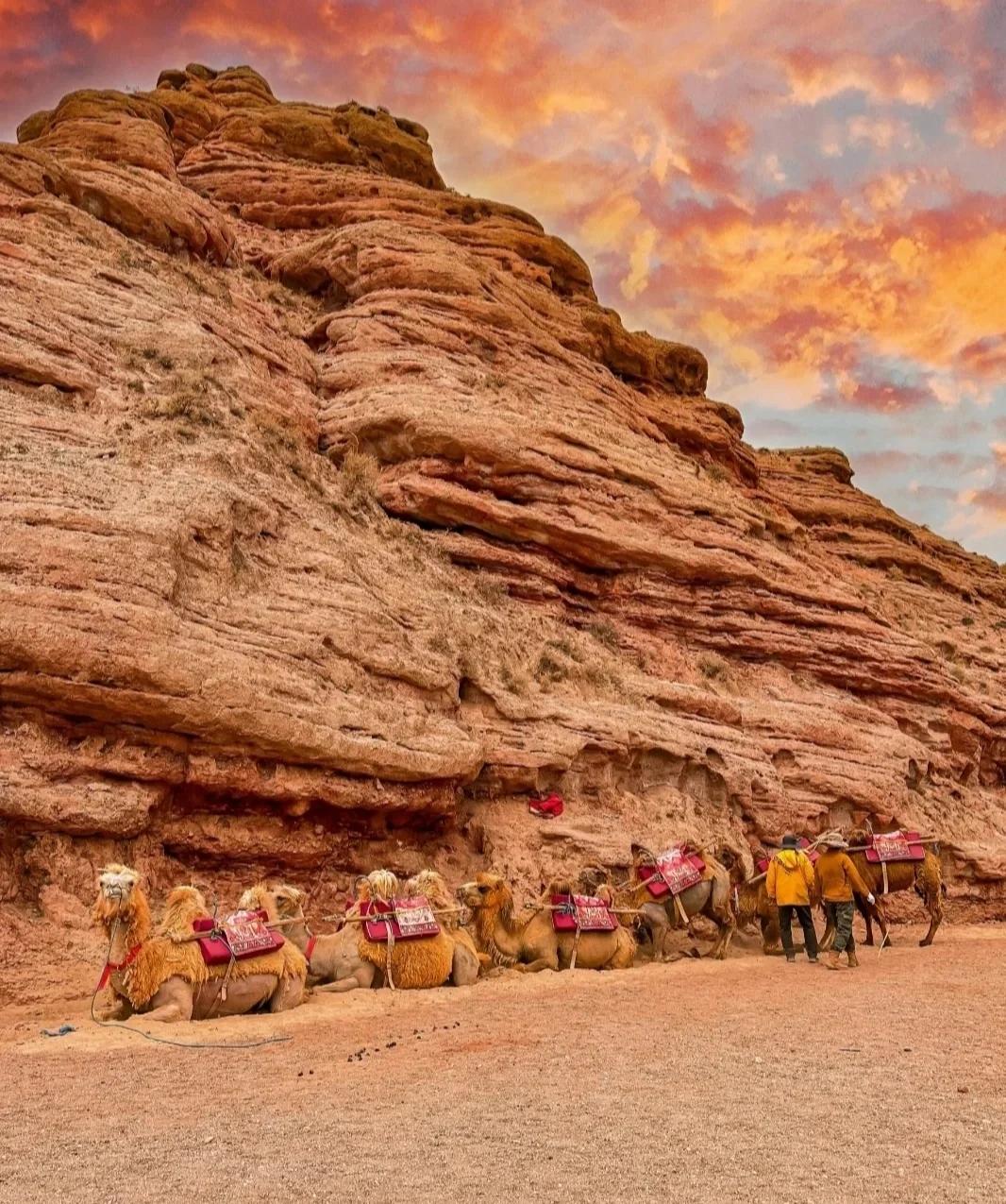 Xinjiang North & Beyond: Western Wilds 9-Day China Tour