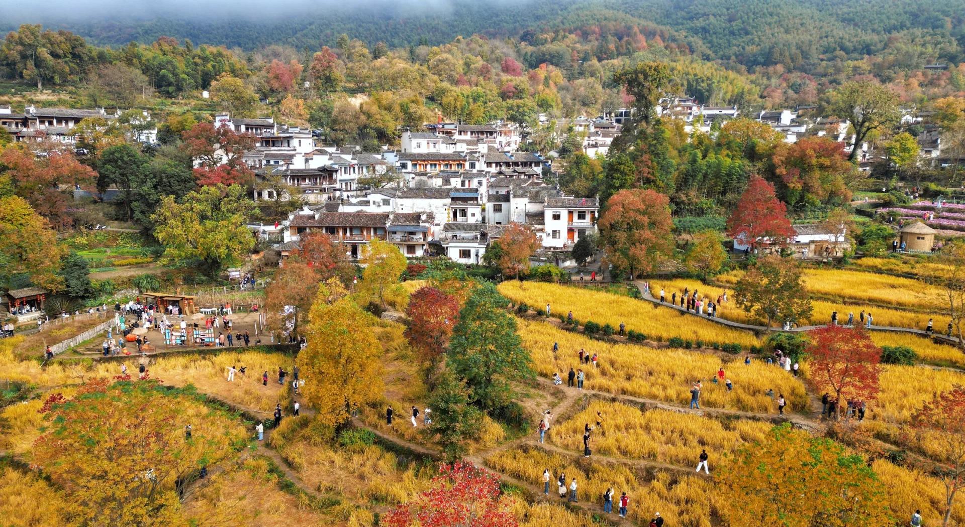 Guilin & Beyond: Avatar & Phoenix Lands 9-Day China Tour