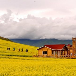 Silk Road & Beyond: Silk Road Odyssey 9-Day China Tour