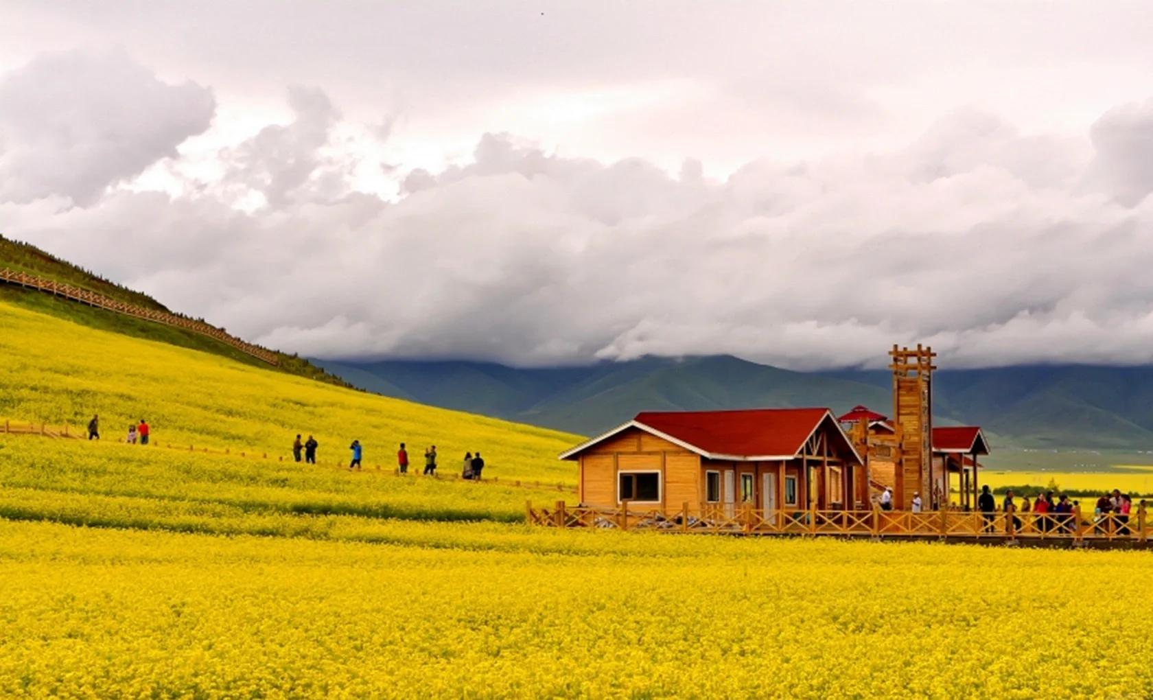 Silk Road & Beyond: Silk Road Odyssey 9-Day China Tour