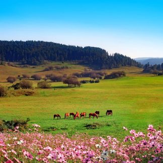 Beijing & Beyond: Imperial Heritage 9-Day China Tour