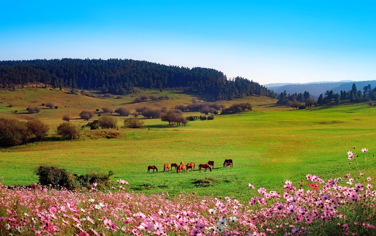 Beijing & Beyond: Imperial Heritage 9-Day China Tour