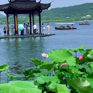 Icons & Insights Hangzhou Day Tour B