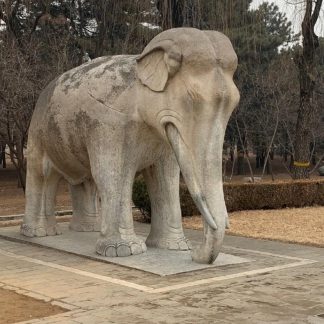 Guizhou & Beyond: Tea Horse Road 9-Day China Tour III