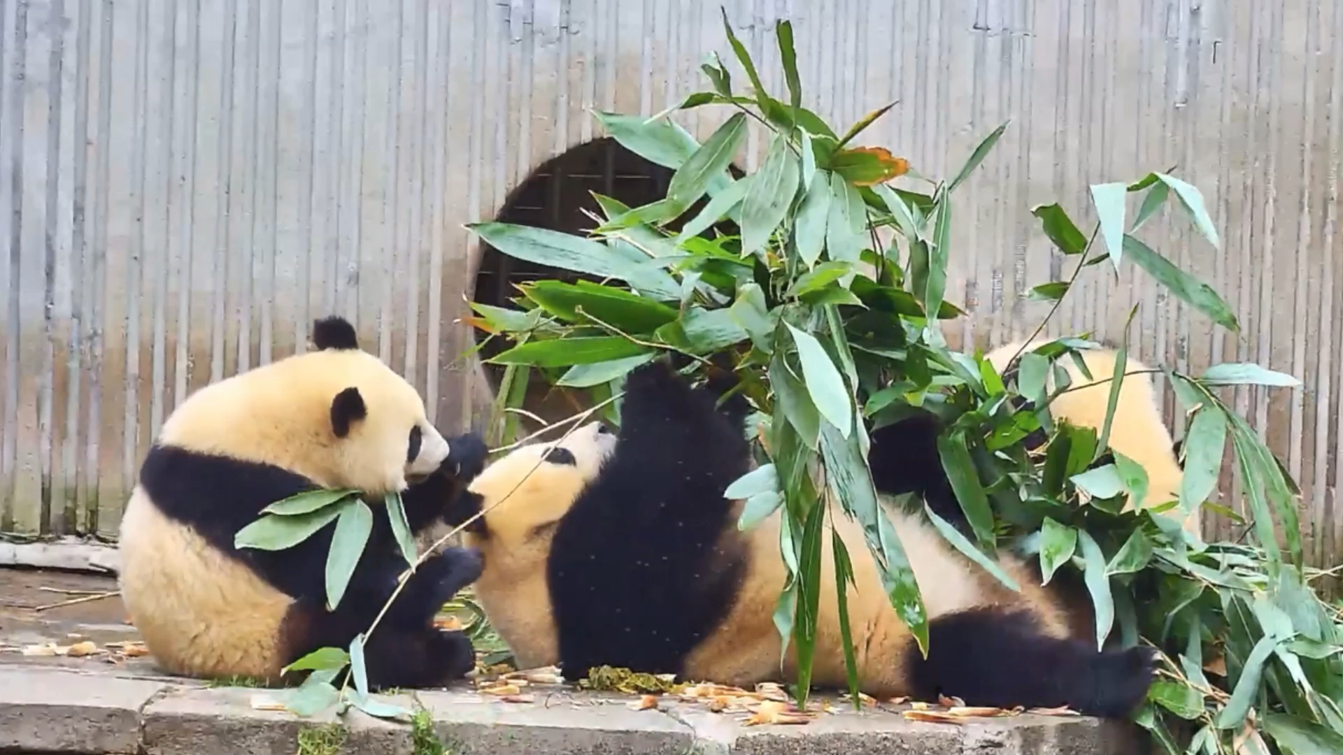 Guilin & Beyond: Panda & Spicy Sichuan 9-Day China Tour IV