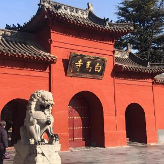Luoyang & Henan & Beyond: Imperial Heritage 9-Day China Tour III