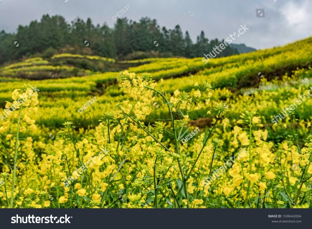 Wuyuan, China