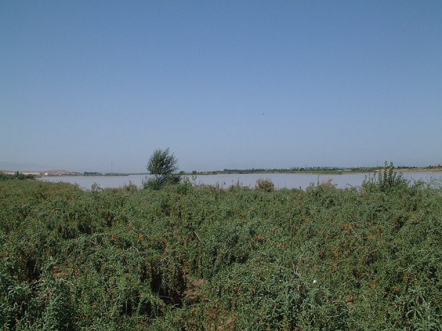 Zhongwei, China